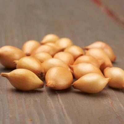 Lučica luka "Sturon"