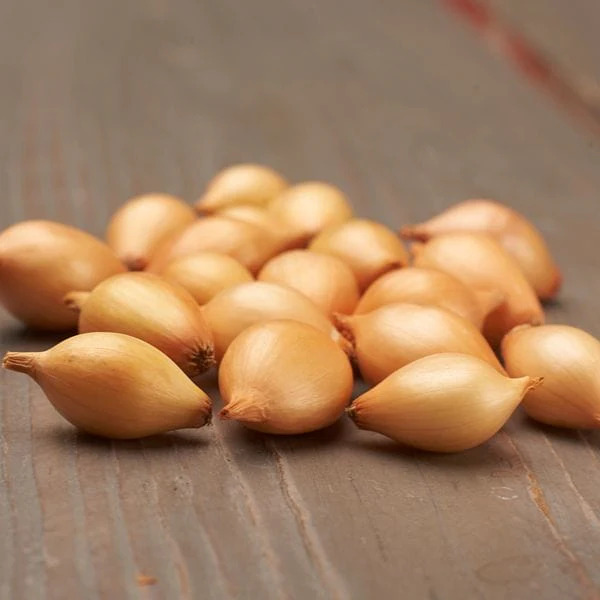 Lučica luka "Sturon"