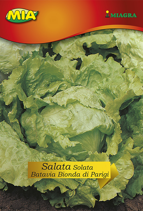 Povrtna vrećica MIA - Salata Batavia Bionda Parigi @ 3g