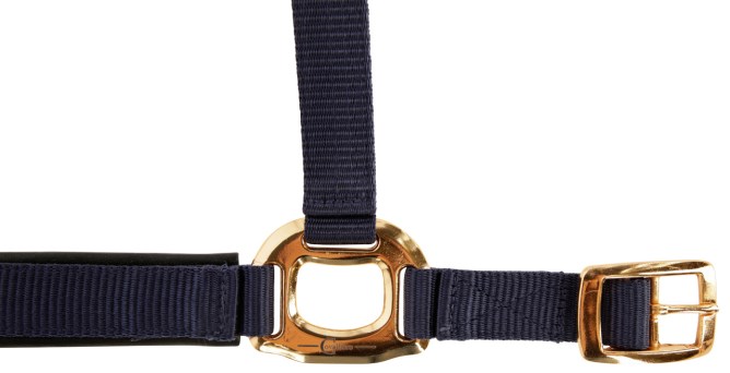 Ular za konje EXCLUSIVE - veličina 2 - plavi - Slika 2