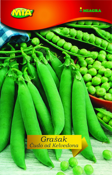 Grašak niski Čudo Kelvedona @ 200 g