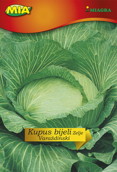 Kupus bijeli Varaždinski @ 4g