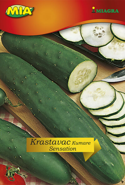 Krastavac Senzacija @ 3g